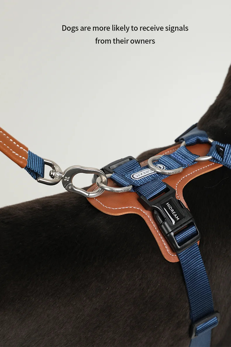 Dog  Harnesses