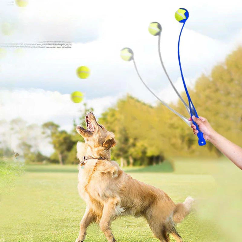 Outdoor Ball Launcher for Dogs