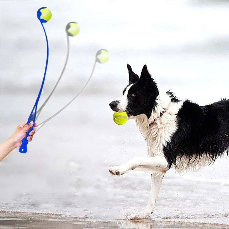 Outdoor Ball Launcher for Dogs