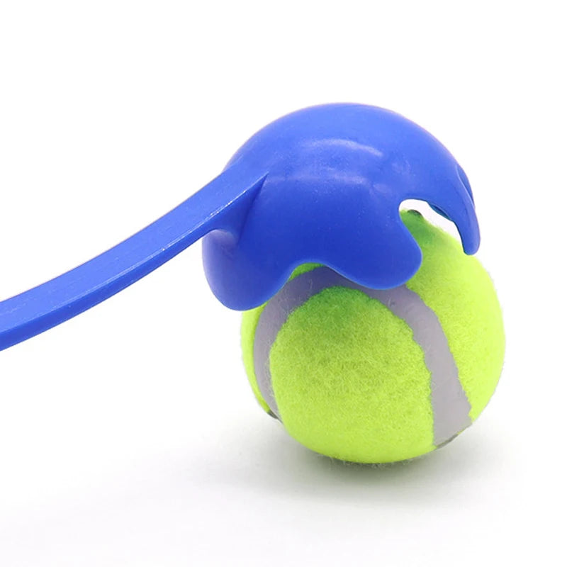 Outdoor Ball Launcher for Dogs