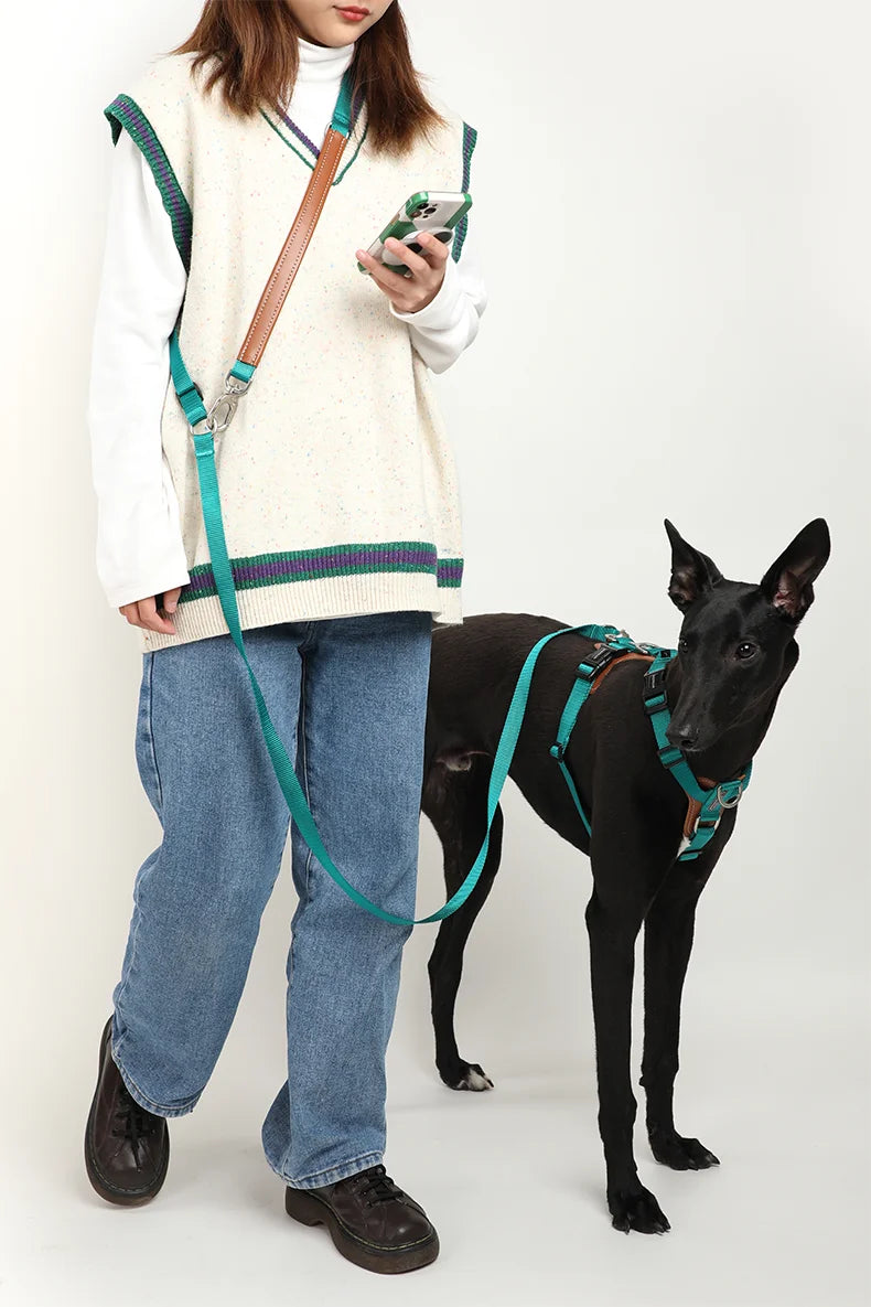 Dog  Harnesses