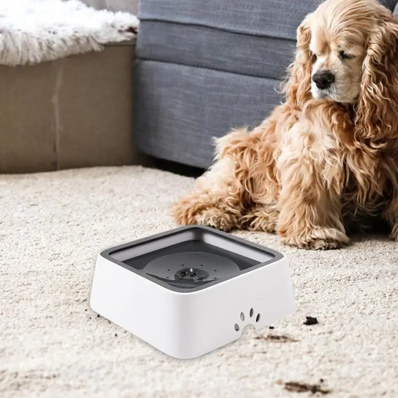 No-Spill Water Dog Water Bowl