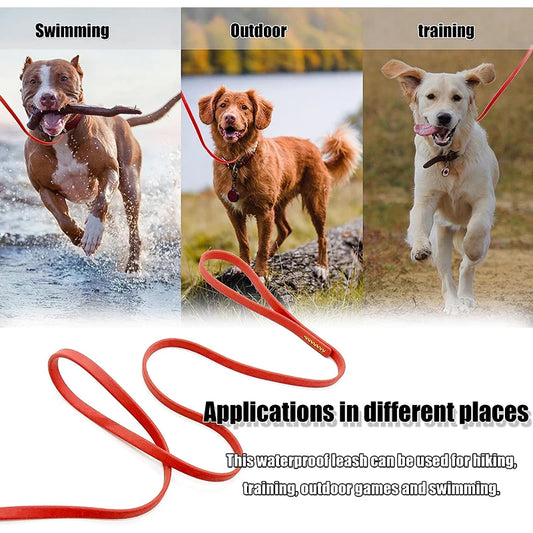 Dog Training Lead 3M 6M 9M