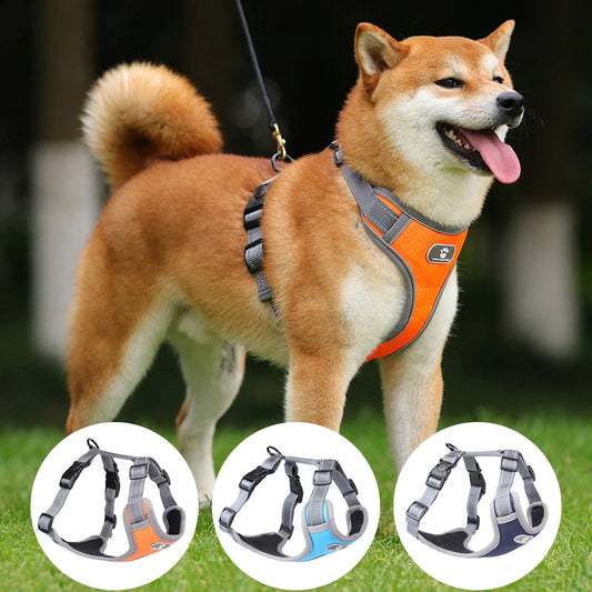 Dog Harness Reflective  & Rainproof